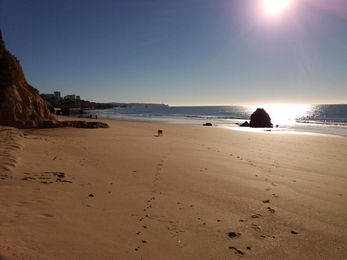 Villa Alcaide Portimao Bagian luar foto